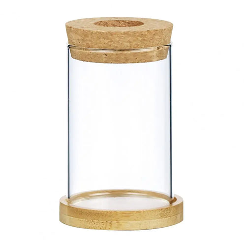 Hydroponic Elegance – Glass Propagation Jar for Air Plants & Cuttings