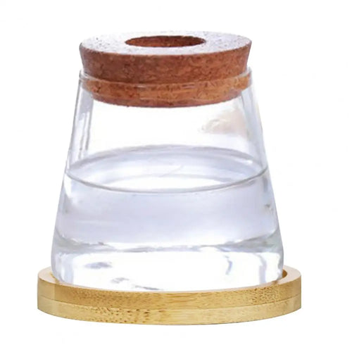 Hydroponic Elegance – Glass Propagation Jar for Air Plants & Cuttings