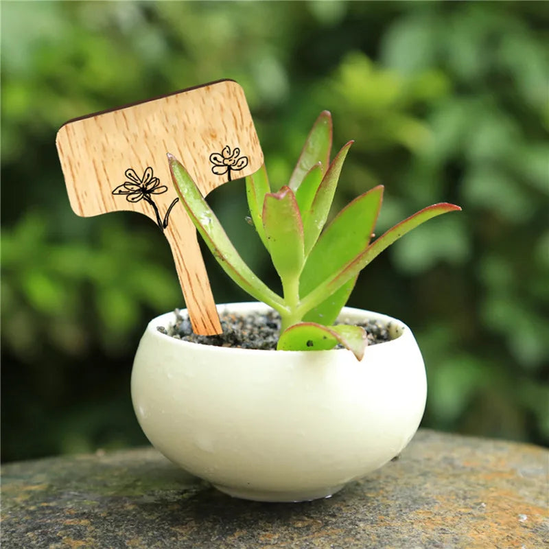 SproutScribes™ Bamboo Plant Labels – Eco-Friendly Garden Markers