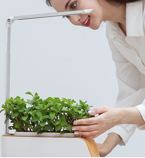 BotaniGlow™ Hydroponic Planter with LED Grow Light