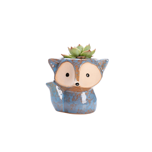 FoxyBloom™ Porcelain Succulent Planter